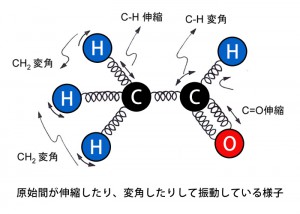 分子の振動図