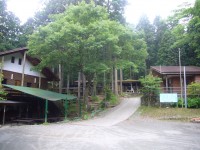 丸太の森　キャンプ場